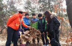 [원주][숲으로 가자] 4. 어린이숲교실