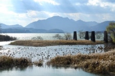 서울 한복판에 의암호 걸린다