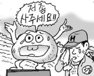 [홍천]농사꾼 인생 걸린 감자 사 주세요