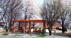 [철원]철원 동송읍 주민 쉼터 조성