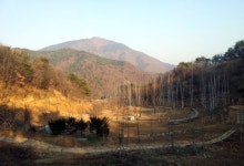 [영월]영월 능말 도시숲 조성 순항