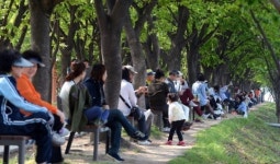 [춘천]나무 그늘로 더위 피난