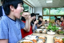 [화천]급식재료 내 손으로 가꿔요