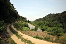 13길 13色 매력… 입맛따라 걸어보자