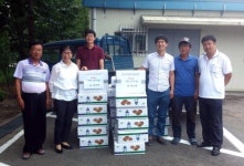 [횡성]횡성 공근면사무소 재배 감자 나눔