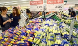 춘천 대형마트 농가돕기 산지직송전