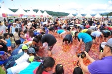 [횡성]횡성 둔내 고랭지토마토축제 성료