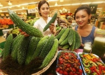 웰빙 채소 여주 사세요