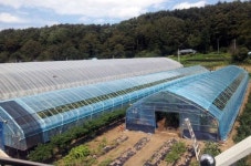 [강릉]폭설피해 방지 비닐하우스 개발