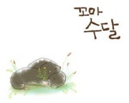 화천 청소년 제작 꼬마 수달 영화상 수상