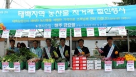 [태백]태백 농산물 직거래장터