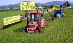 쌀 개방 절대 안돼