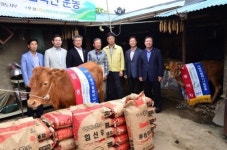 [영월]강원농협·나눔축산본부 도지부 송아지 기부