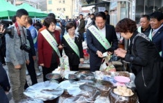 태백 장성 중앙시장 왁자지껄 마케팅