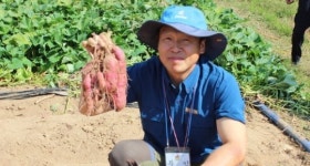 [홍천]홍천 풀잎이슬농장 대상