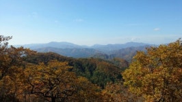[동부지방산림청 기획연재] 태백국유림관리소