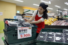 춘천 블루베리 맛보세요