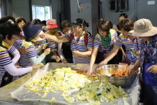 삼척 고랭지배추 소비자 견학