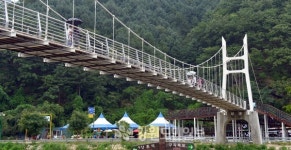 돌아온 출렁다리