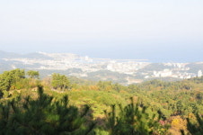 전국 100대 명산 동해시가 한 눈에