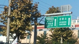 [태백]태백 검용소? 검룡소?