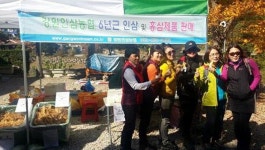 [홍천]홍천인삼·한우 단풍철 특수