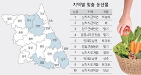 삼척 근덕면서 복숭아 재배 대박