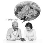 주거+임대 수익 일거양득 가능