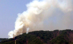 철원 청양3리 산불