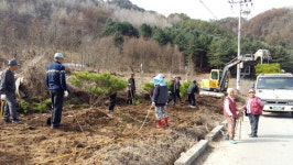 [춘천]춘천 원창1리 식목행사