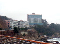 [부동산 정보] 경매 물건