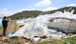 태풍급 강풍…도내 피해 속출