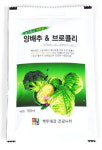 [강원창조경제 현장을 가다] ⑮ 동해 시골장터