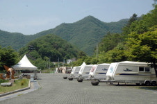 [쉼...] 이 봄, 다가기 전에 천연림 속으로 풍덩