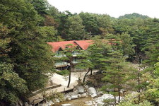 대관령 자연휴양림 경쟁률 262대1