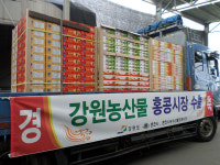 [춘천]춘천 농수산물도매시장, 도내 농산물 홍콩 수출