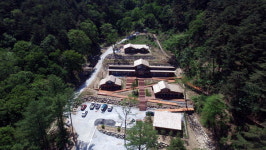 수령 90년 이상 금강소나무 숲길 걸으며 힐링