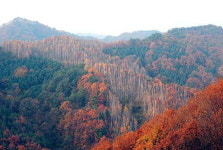 [인제]인제 남면 수산분교 치유마을로 새단장