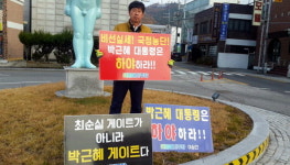 [양구]이상건 양구군의원 국정농단 시위