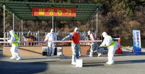 [횡성]구제역 현장방역 가상훈련