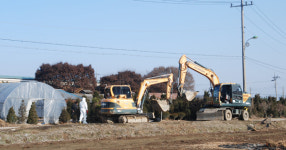 철원 강포리 산란계 농장서 AI 의심축 발견 방역 비상