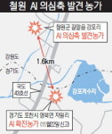 철원서 AI  의심축 양성 반응, 청정지대 강원도 뚫렸다