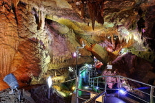 확 트인 동해바다, 무릉계곡 건강 숲에서 힐링여행