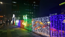 [홍천]홍천 꽁꽁축제 송어등 점등