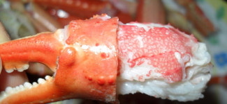 어떻게 먹어도 대게 맛있다