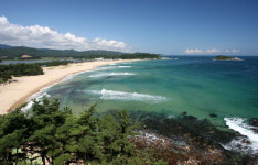 ‘꽃피는 나루’ 살포시 봄기운