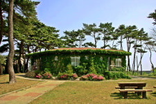 ‘꽃피는 나루’ 살포시 봄기운