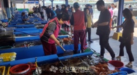 [속초]속초 동명활어센터 활기