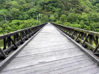 전쟁이 건너간 늙은다리 위 세월의 굳은살 까맣게 내려앉았네