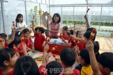 춘천 헬로토마토교육농장 인기최고